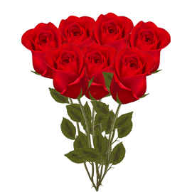 Luxury Red Roses (7 flowers) - www.alcohol.ninja