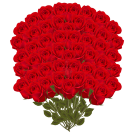 Luxury Red Roses (101 flowers) - www.alcohol.ninja